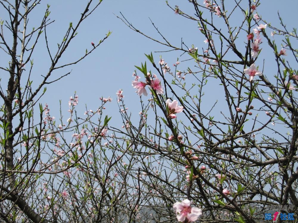 Ƭ 096.jpg