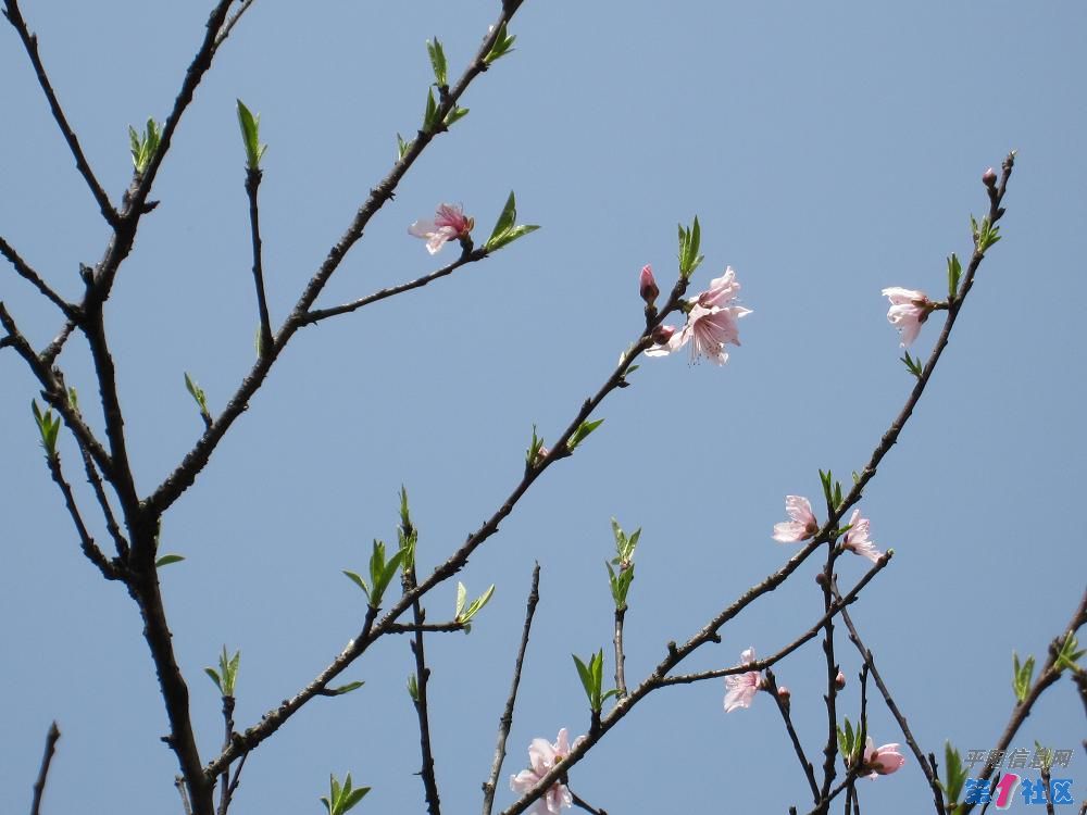 Ƭ 094.jpg