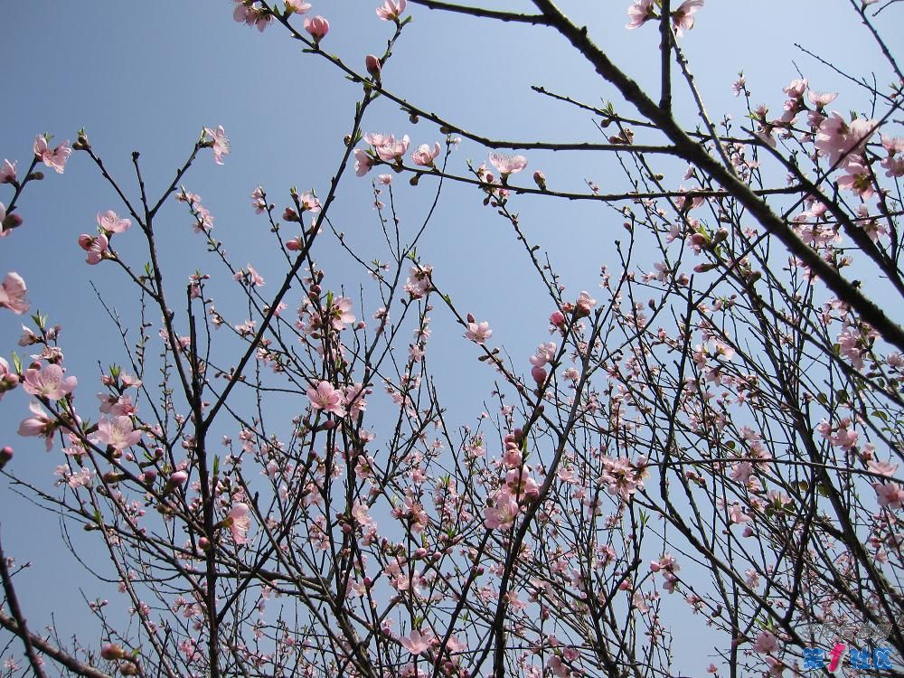 Ƭ 097.jpg