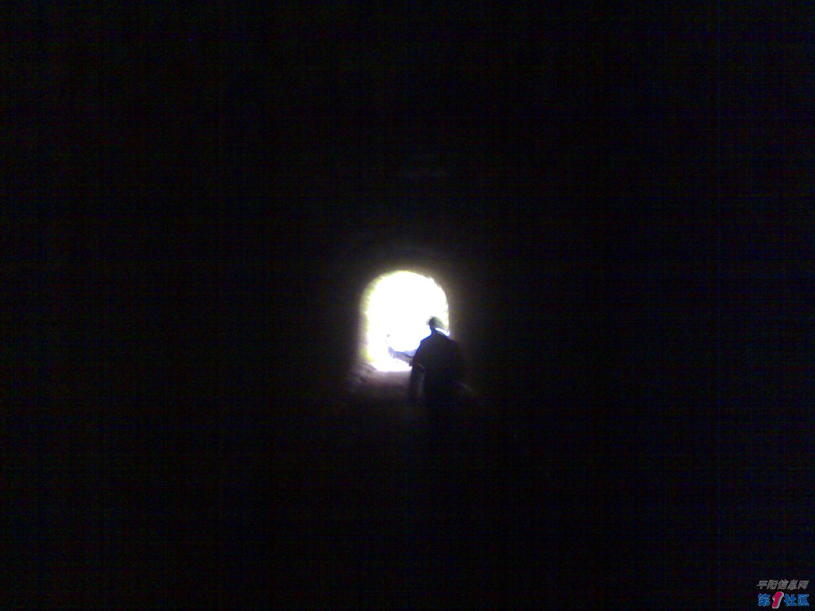 20100320175.jpg