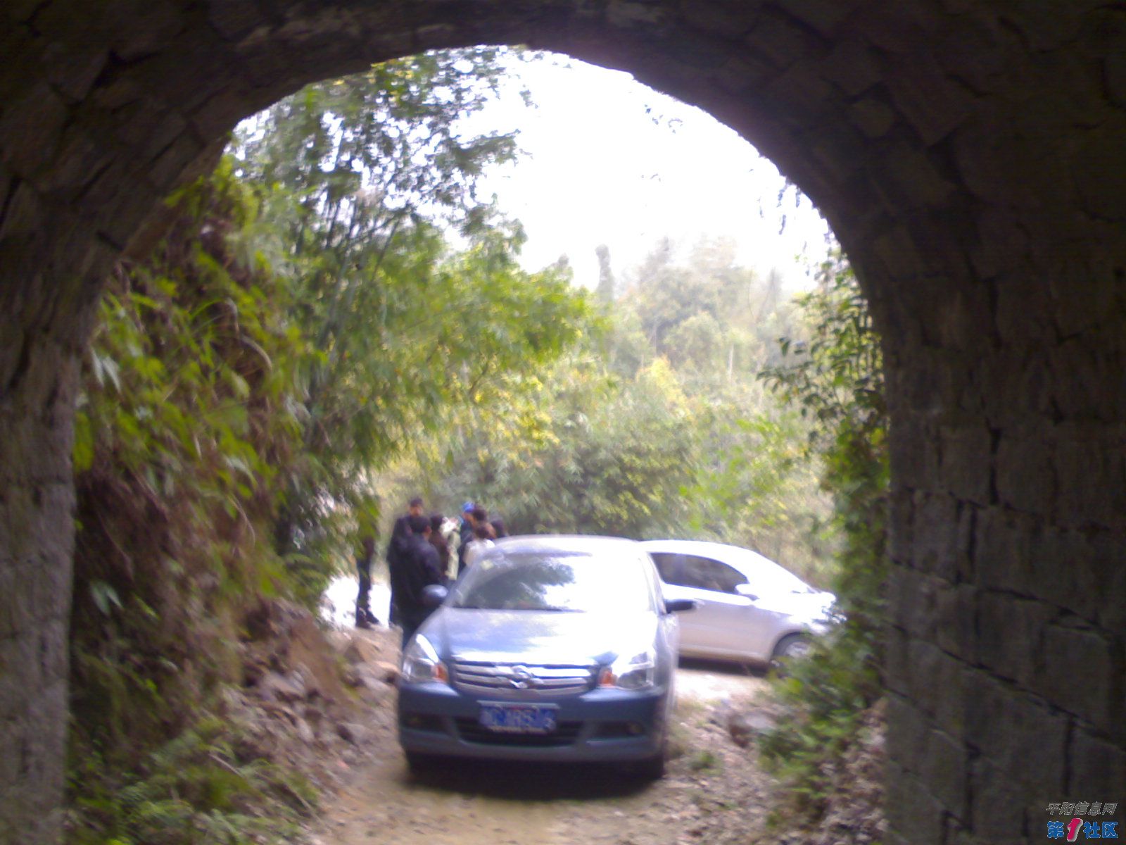 20100320177.jpg