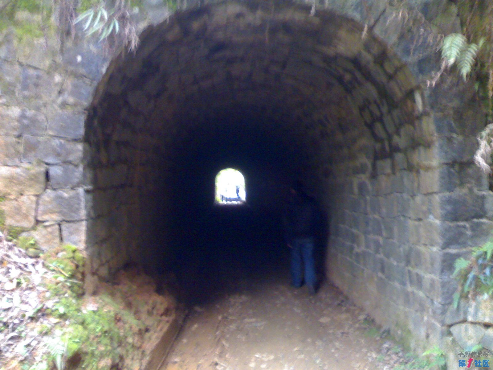 20100320173.jpg
