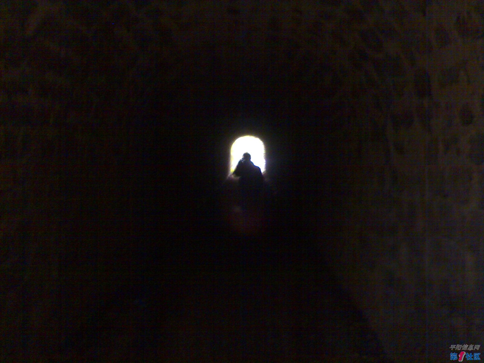 20100320174.jpg
