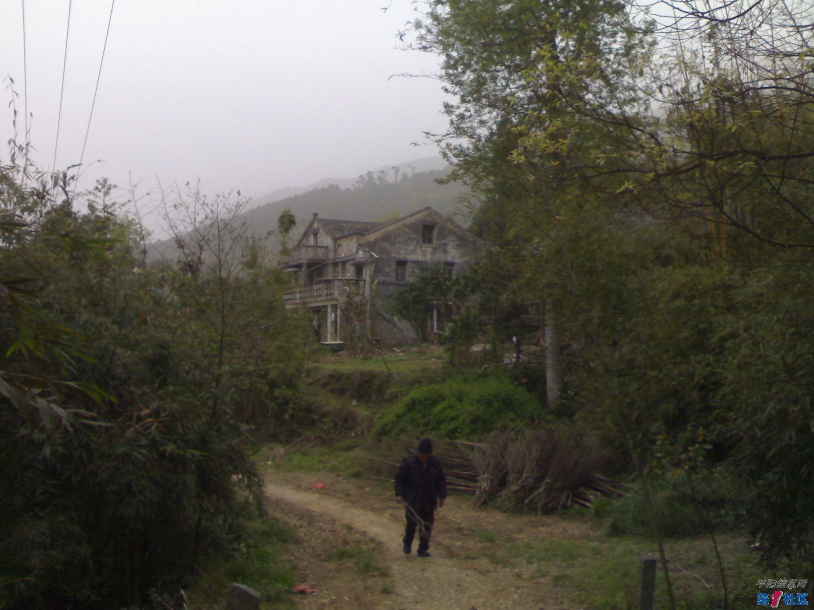 20100320170.jpg