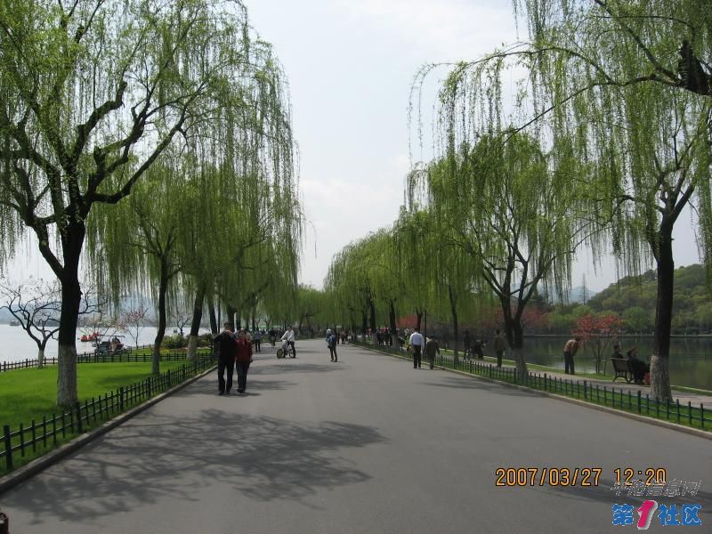 DSC01119.JPG