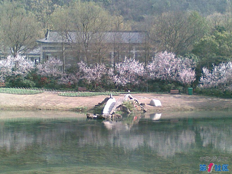 20100316_002.jpg