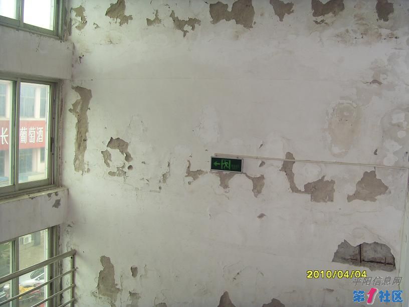 SDC10065.JPG