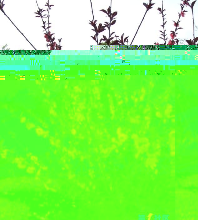 δ.jpg
