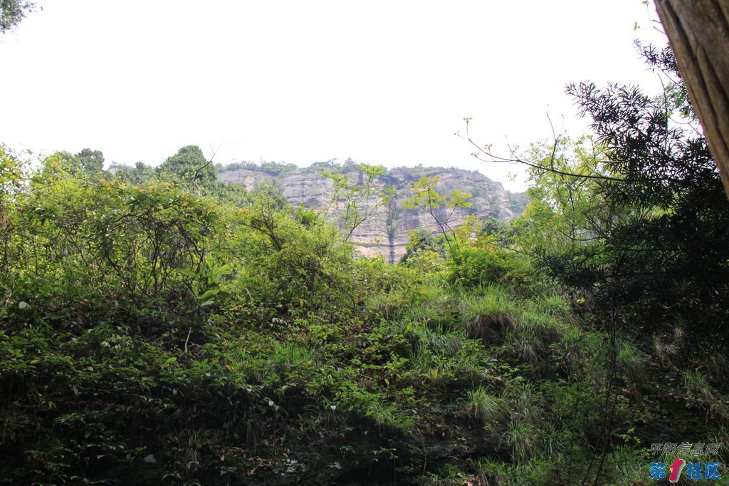 IMG_5407.jpg