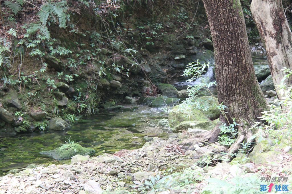 IMG_5389.jpg