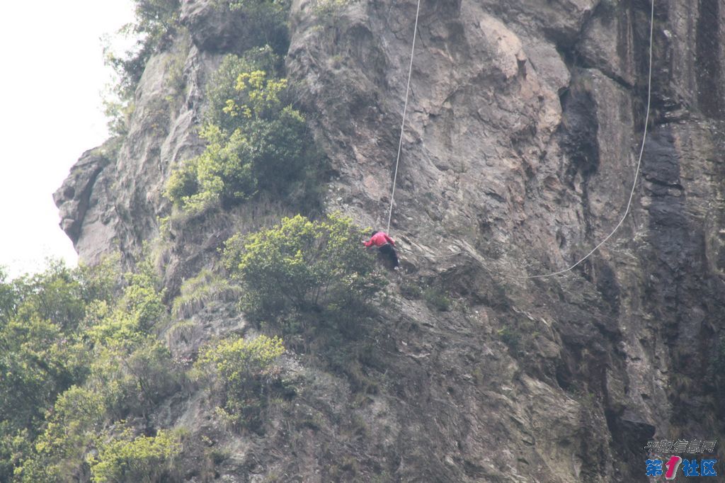IMG_5454.jpg