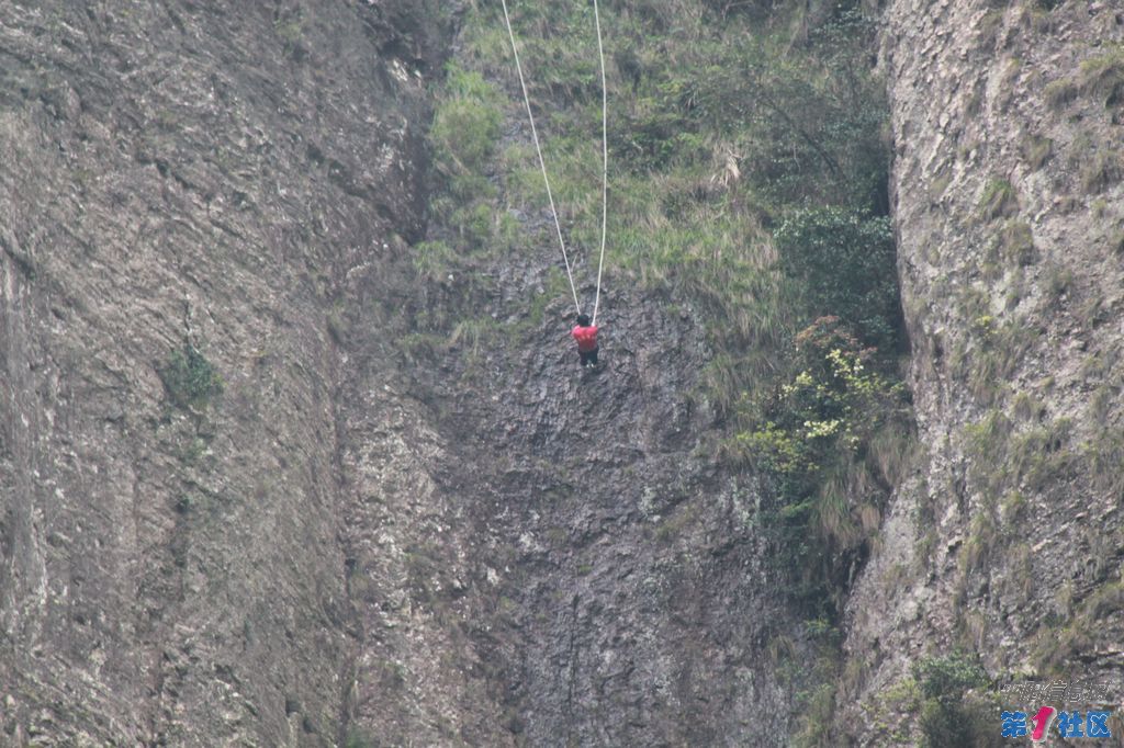 IMG_5463.jpg