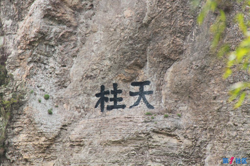 IMG_5527.jpg
