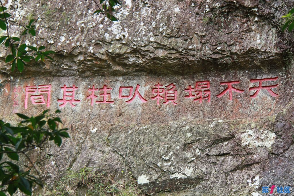 IMG_5630.jpg