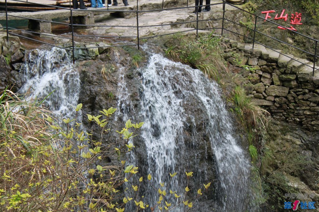 IMG_5624.jpg