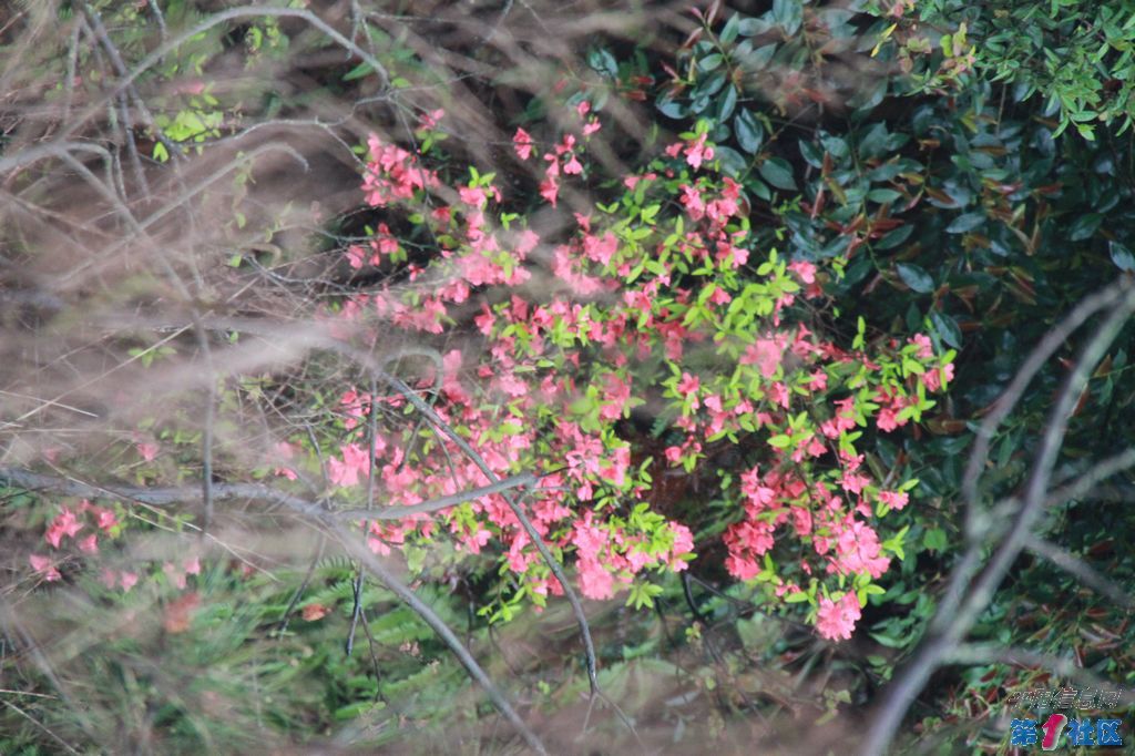 IMG_5855.jpg