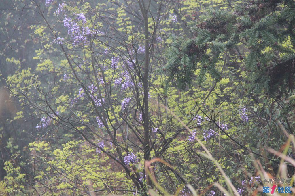 IMG_5834.jpg