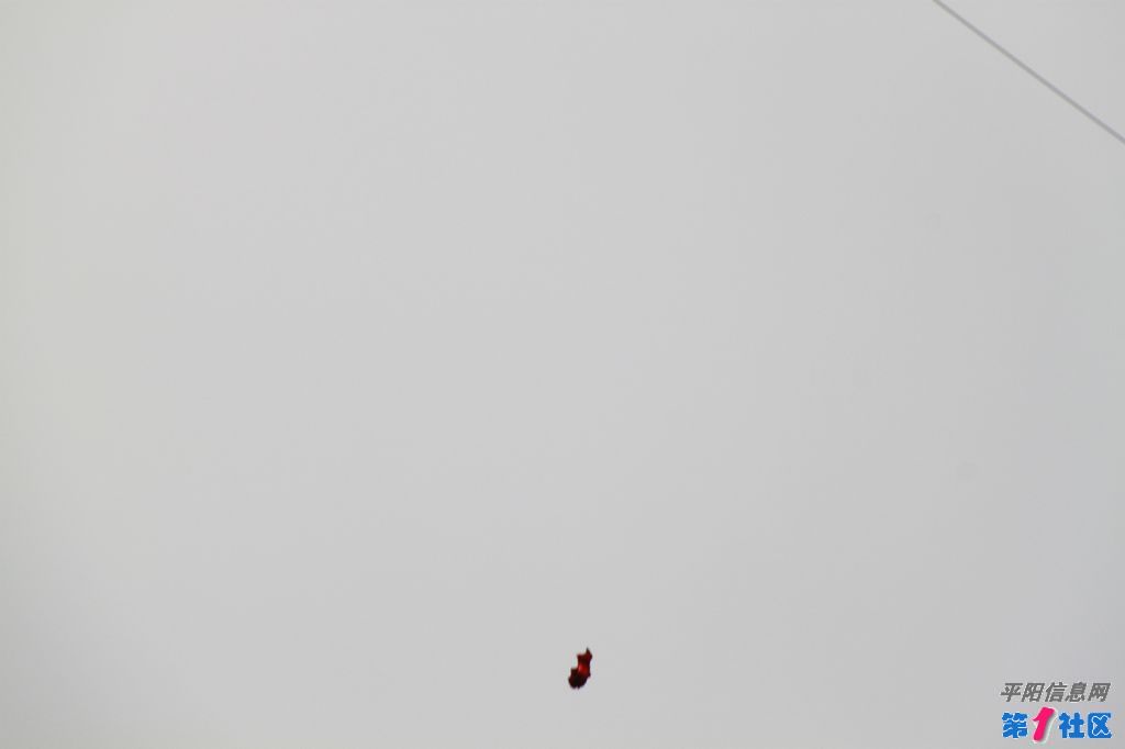 10041209447b56889a80cbdf26.jpg