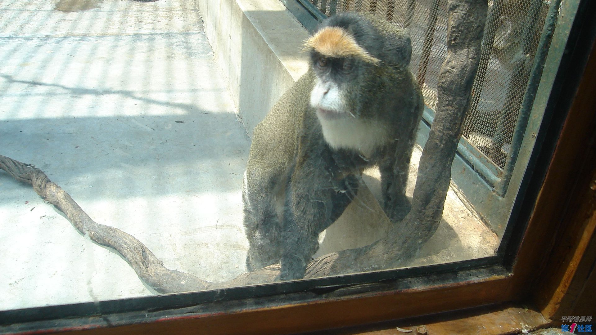 DSC05177.JPG