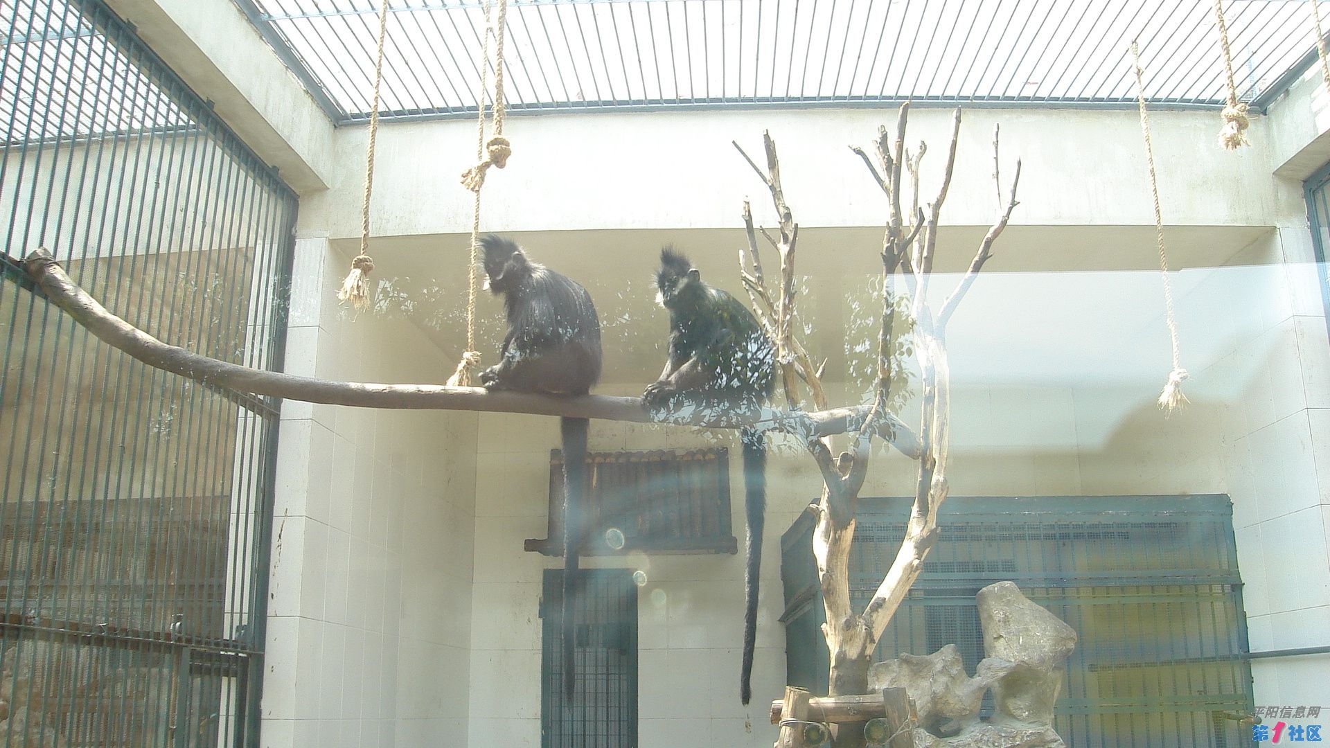 DSC05186.JPG