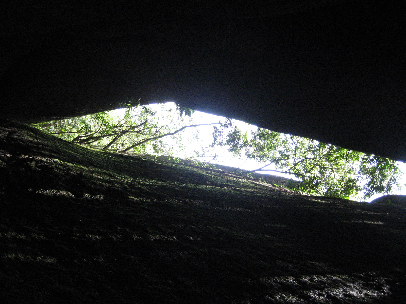  IMG_2000.JPG