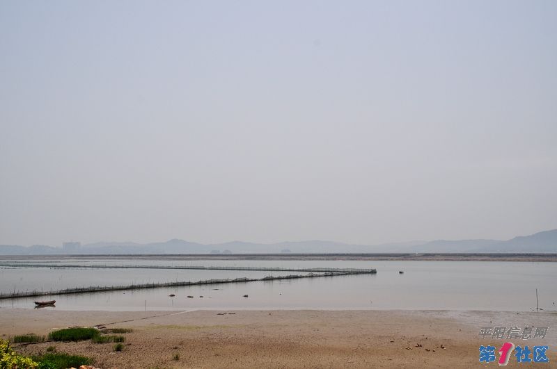 DSC_7443.jpg