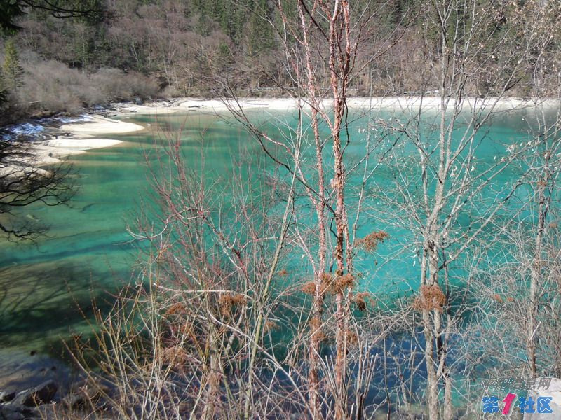 DSCN0805_СС.JPG