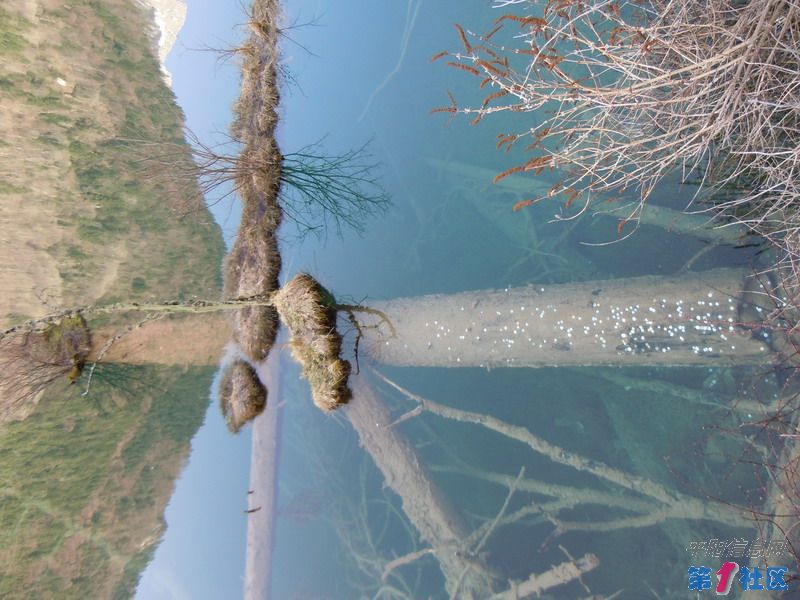 DSCN0690_СС.JPG