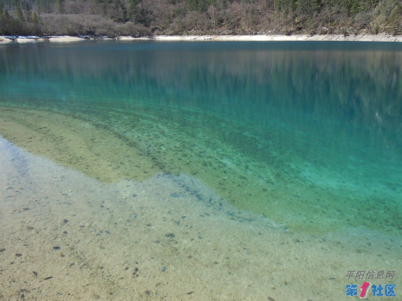 DSCN0821_СС.JPG