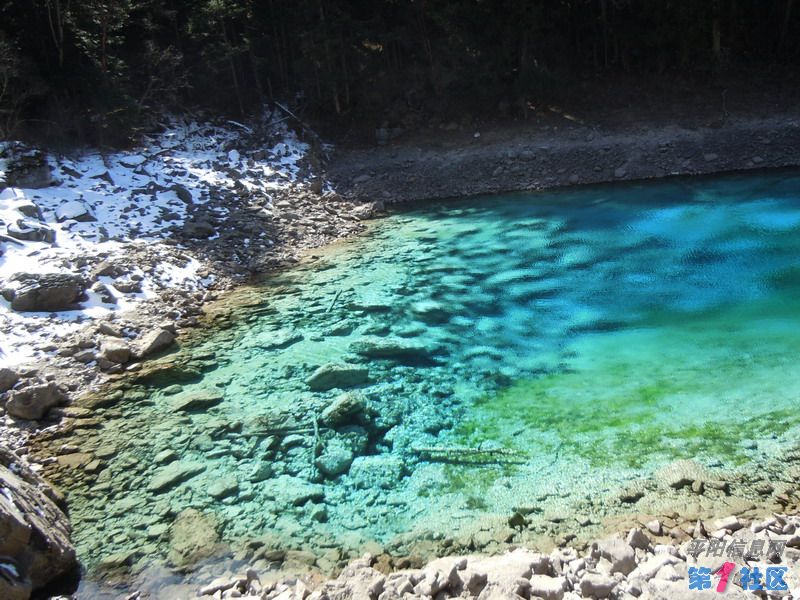 DSCN1046_СС.JPG