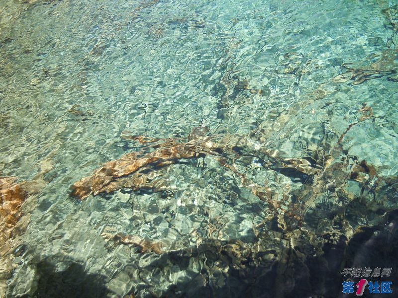 DSCN0916_СС.JPG