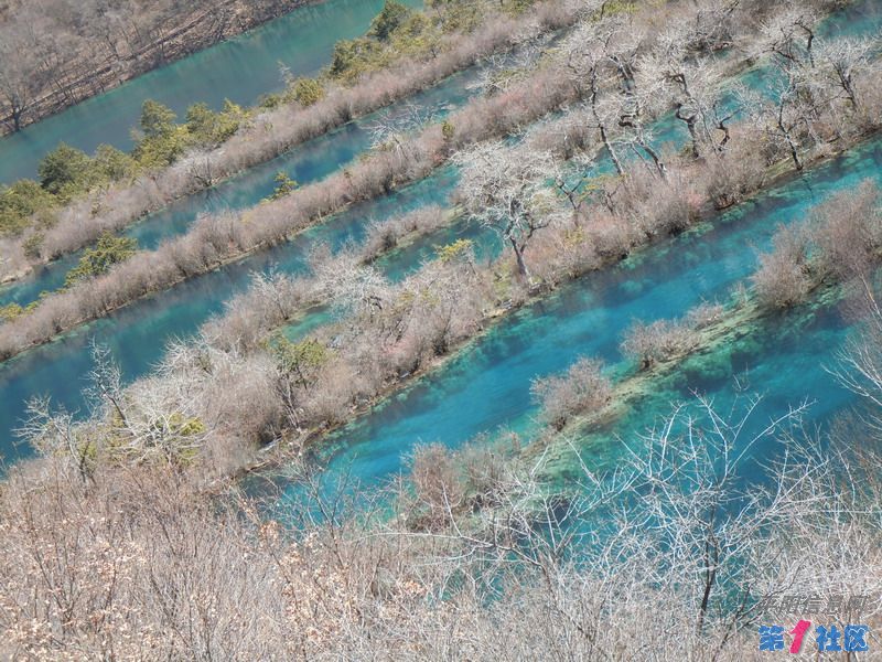 DSCN1173_СС.JPG
