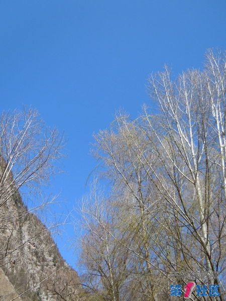 DSCN1325_СС.JPG