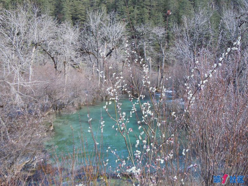DSCN1091_СС.JPG