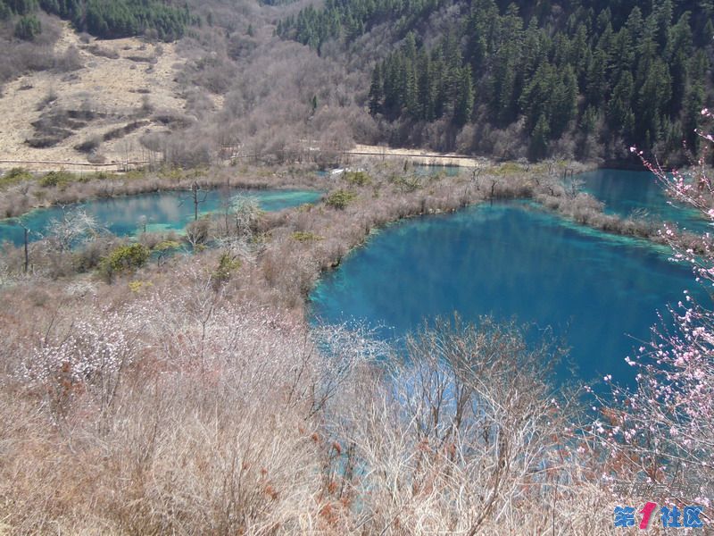 DSCN1178_СС.JPG