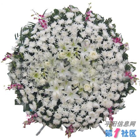 T1_pBtXgVdXXb87YM__105503.jpg